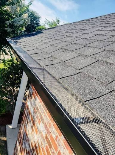 Installed leaf guard